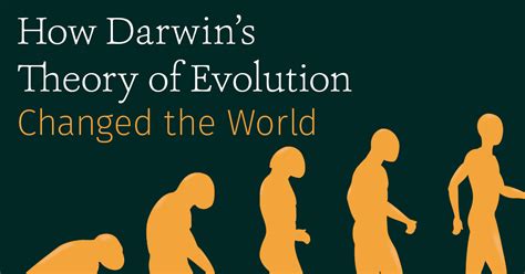 Importance Of Darwin’s Evolution Theory .